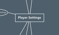 Player Settings