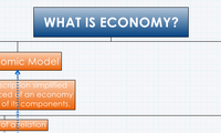 WHAT IS ECONOMY?