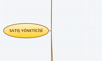 SATIŞ YÖNETİCİSİ