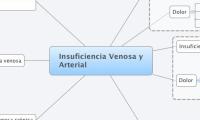 Insuficiencia Venosa y
Arterial
