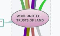 W301 UNIT 11: TRUSTS OF LAND