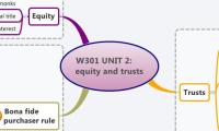 W301 UNIT 2: equity and trusts