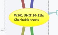 W301 UNIT 30-31b: Charitable trusts
