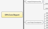 OP4 Core Report