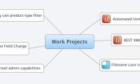 Work Projects