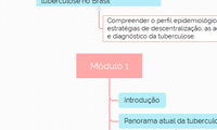 Módulo 1