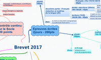 Brevet 2017