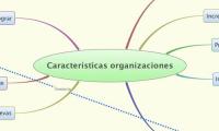 Características organizaciones