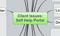 Client Issues:
Self Help Portal