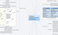 BI-Model
begeleid intervisie
(Hendriksen)