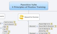 Pawsitive Vybe
4 Principles of Positve Training