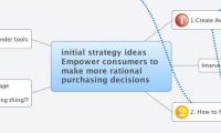 initial strategy ideas
Empower consumers to 
make more rational
purchasing decisions