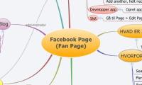 Facebook Page
(Fan Page)