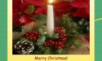 Merry Christmas!
Happy new year!