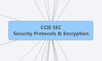 CCIE SEC
Security Protocols & Encryption