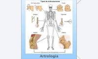Artrología