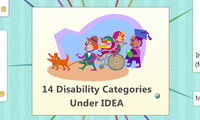 14 Disability Categories 
Under IDEA