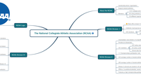 The National Collegiate Athletic Association (NCAA)
