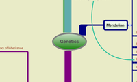 Genetics