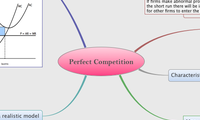 Perfect Competition