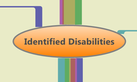 Identified Disabilities