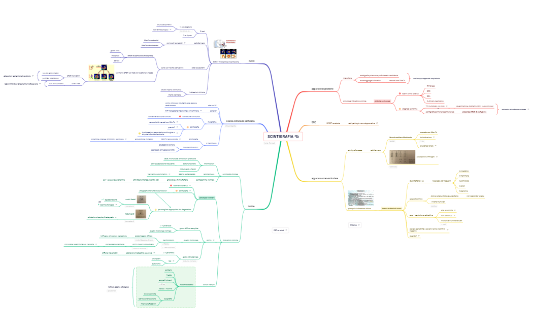 scintigrafia