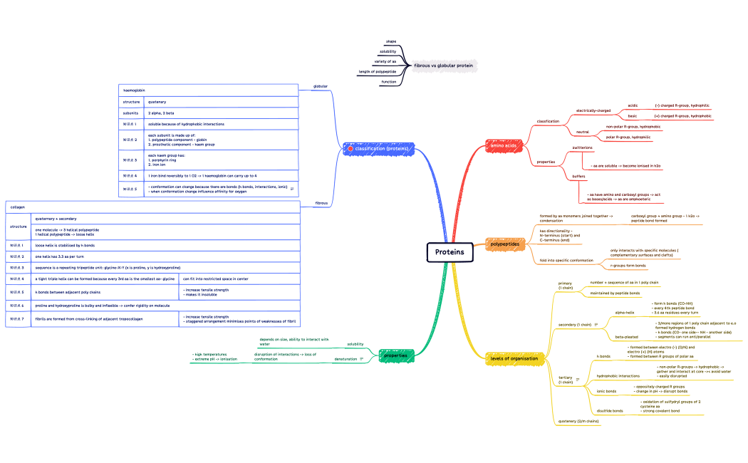 Proteins.xmind