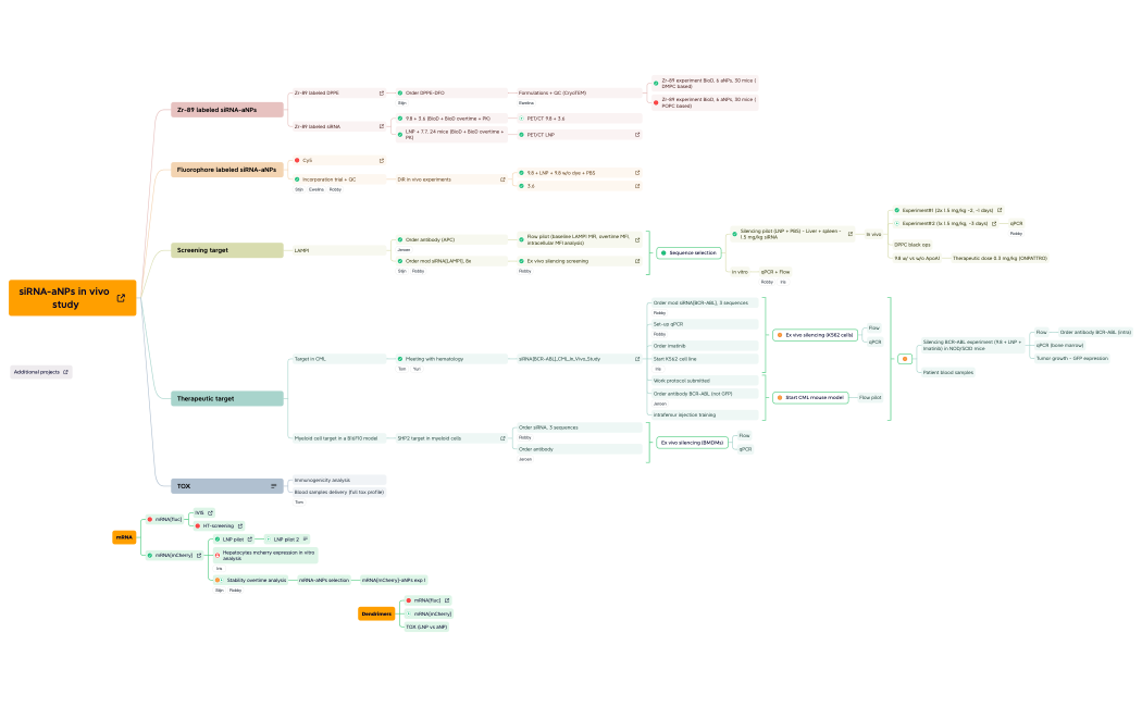 Planning_siRNA-aNPs_In_Vivo_Study.xmind