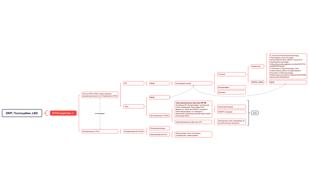 DMT, Псилоцибин, LSD.