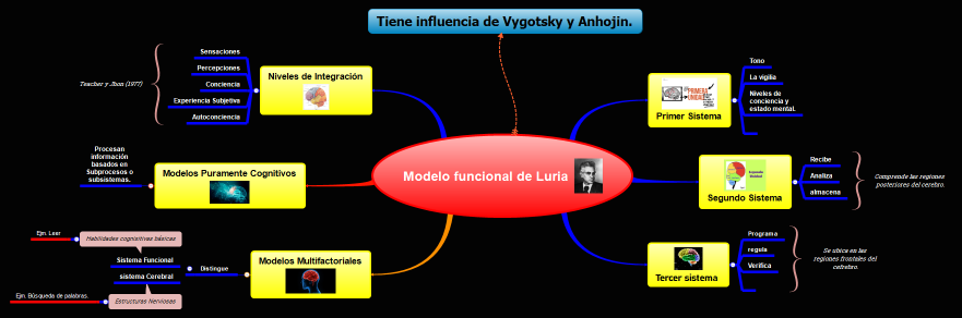 Modelo funcional de Luria 