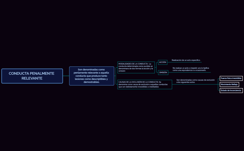 CONDUCTA PENALMENTE RELEVANTE