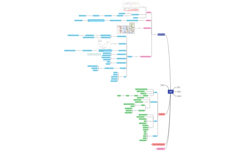 UntitledehSCCBKUXmMxM90243aeQ8GeBLRFoCt07983-pEqeEK-TiYd4Sm-17974.xmind