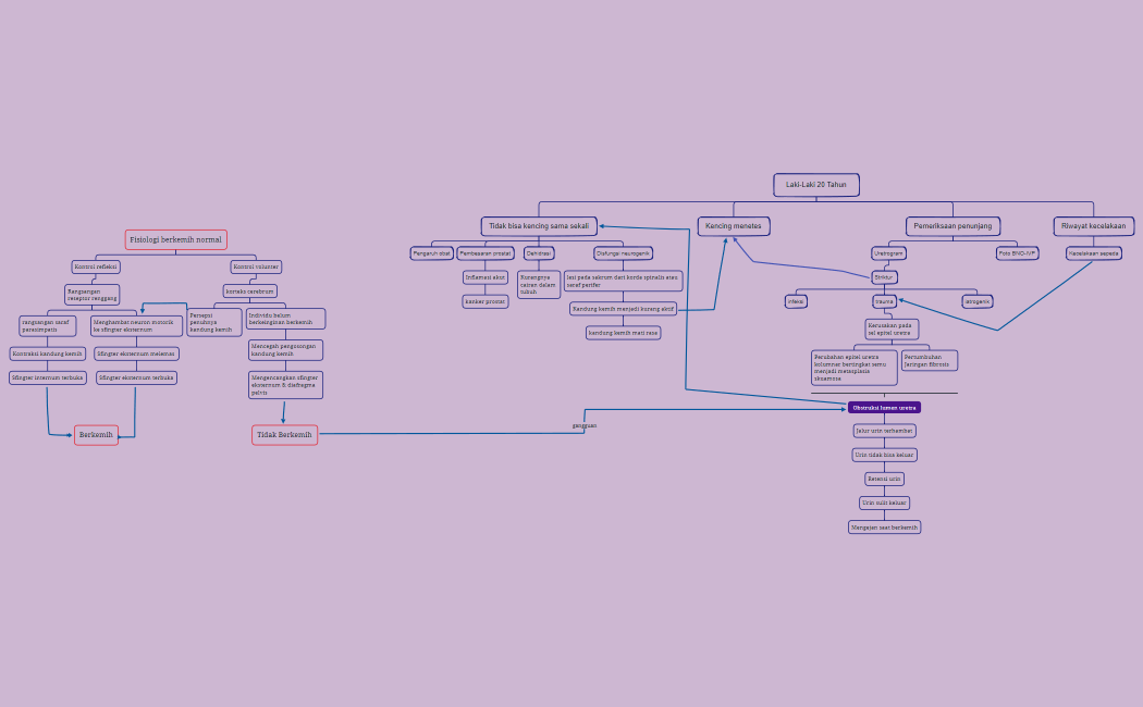 Laki-Laki 20 Tahun fix 2