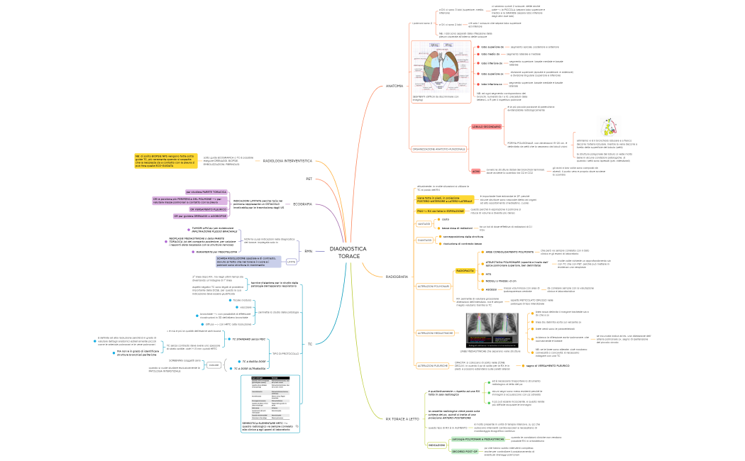 2- DIAGNOSTICA TORACE