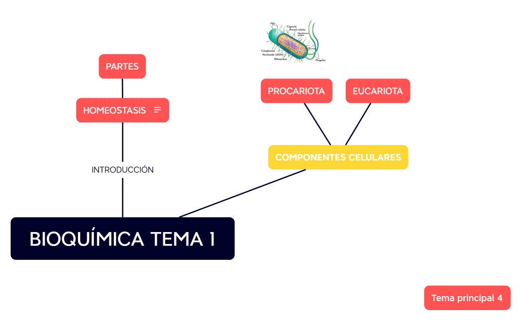 BIOQUÍMICA TEMA 1 WUENO
