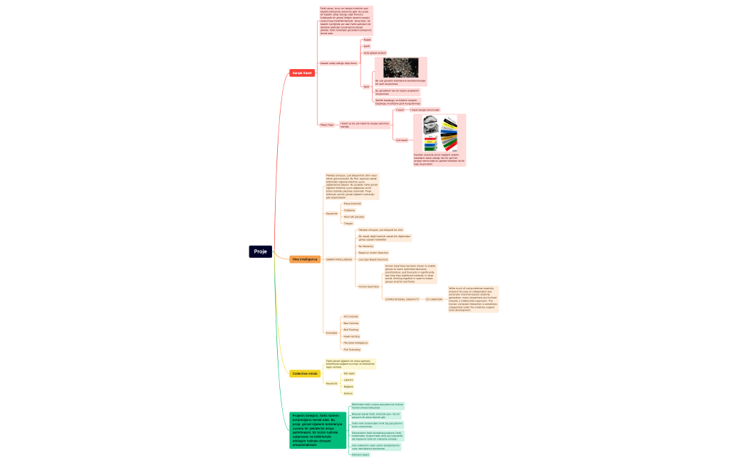 Proje.xmind