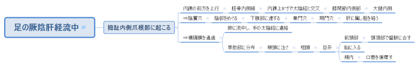 足の厥陰肝経流中