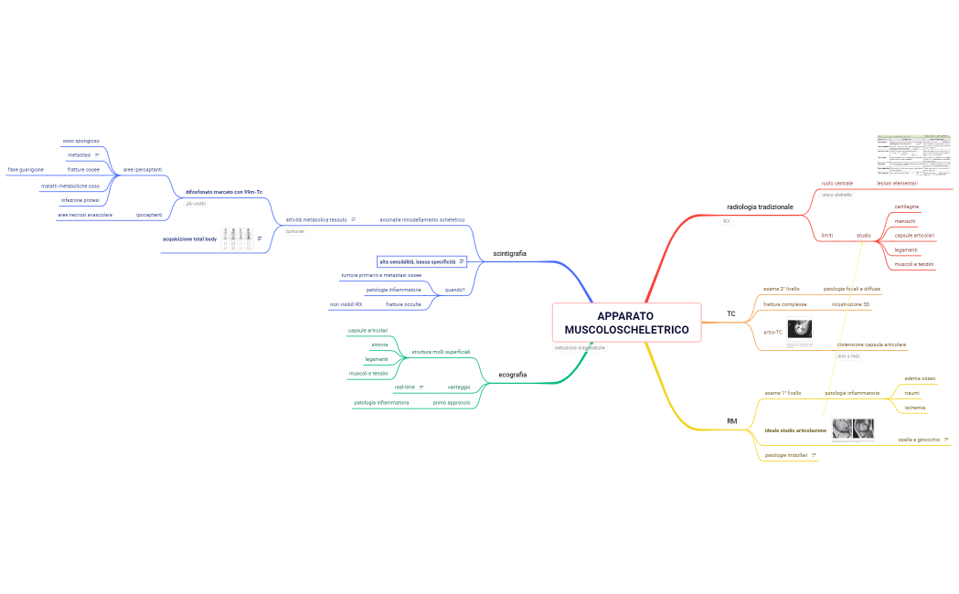 apparato muscoloscheletrico
