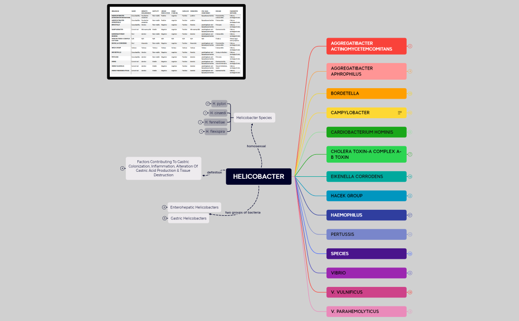 HELICOBACTER.xmind