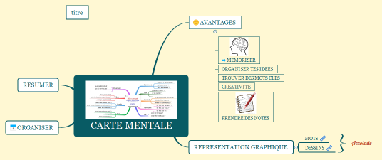 CARTE MENTALE