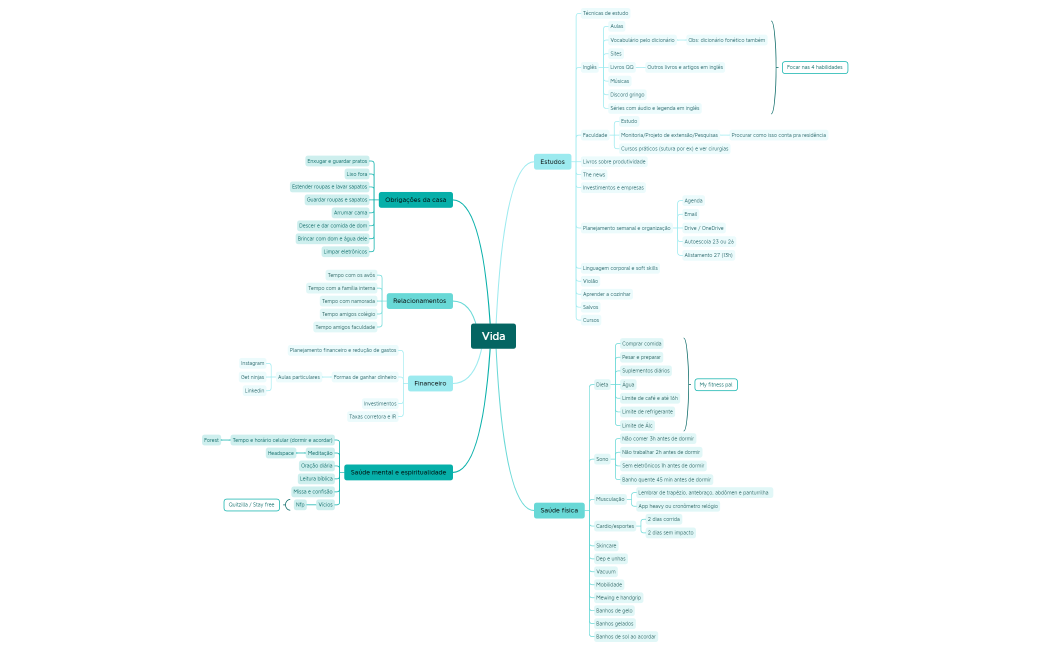 Vida.xmind