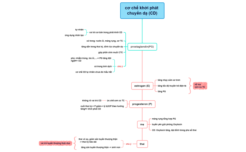 cơ chế khởi phát chuyển dạ (CD)