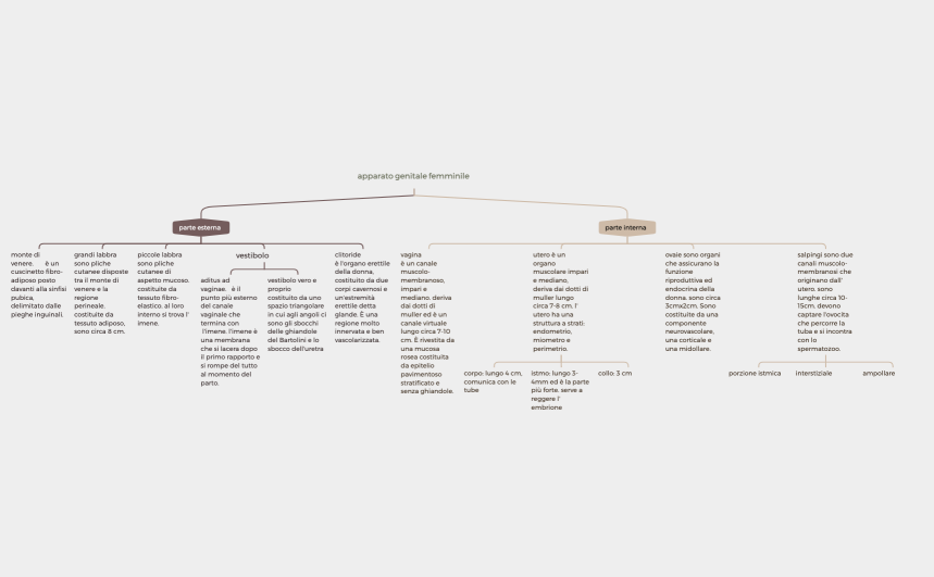 apparato genitale femminile 