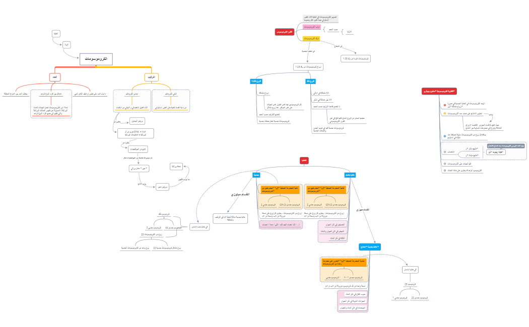 الكروموسومات