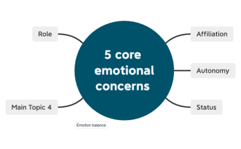 5 core emotionalconcerns 