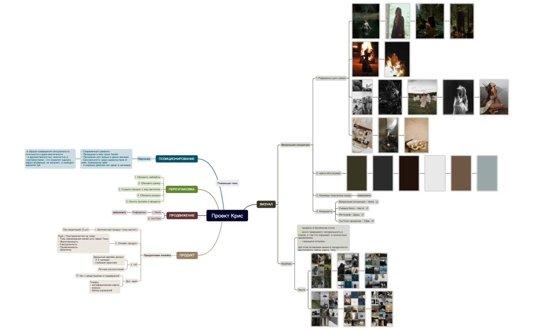 Проект Крис