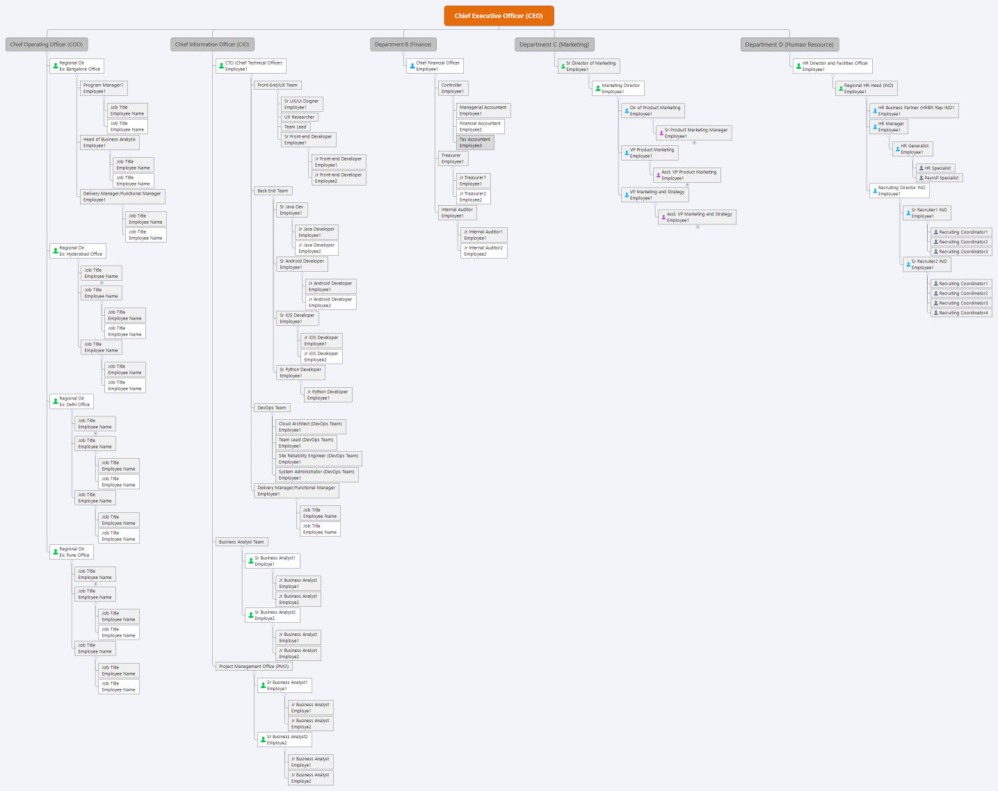 Chief Executive Officer (CEO)