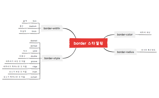 12.border 스타일링