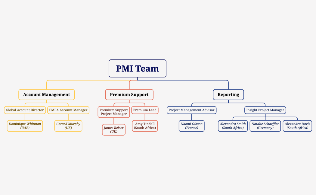 PMI Team