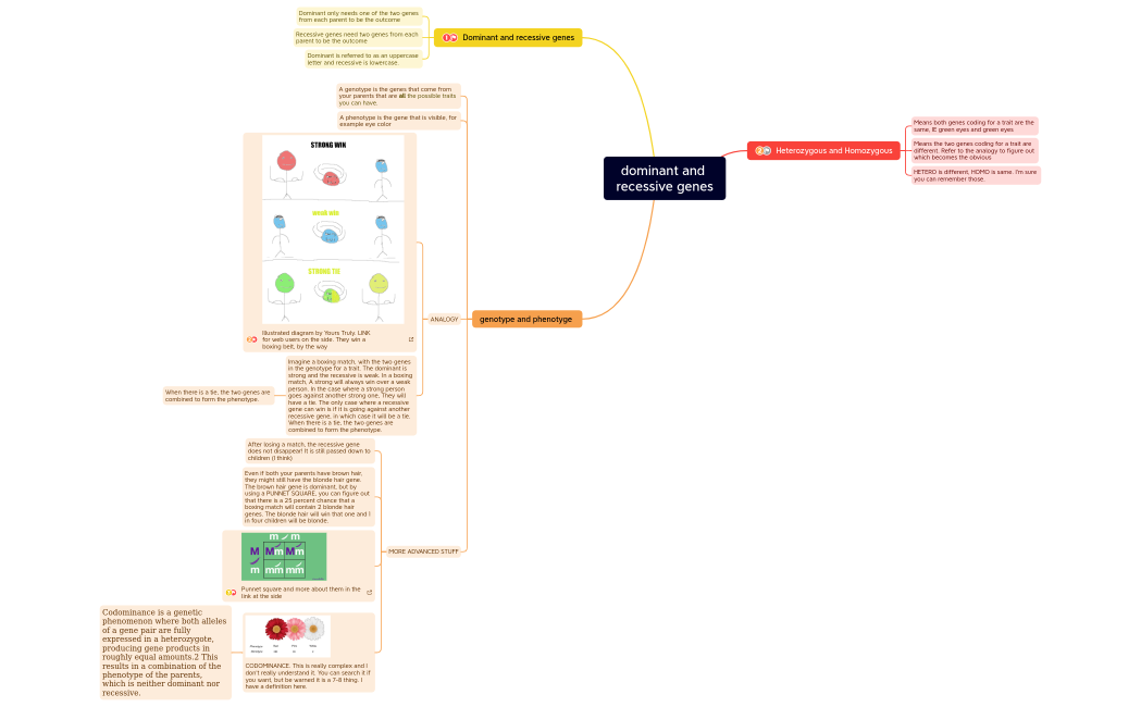 dominant and recessive genes